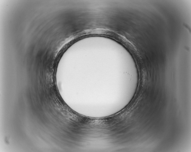 X0000099401166200805291204