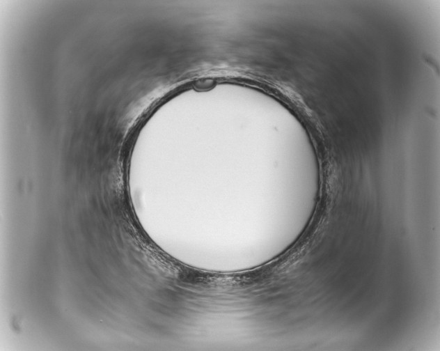 X0000099401167200805291204