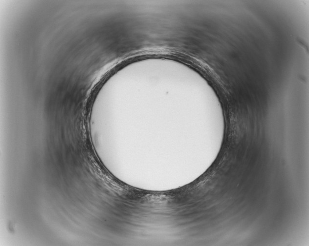 X0000099401168200805291204