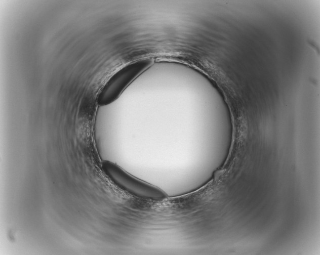 X0000099401169200805291204