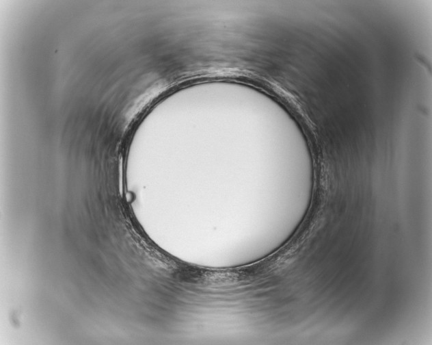 X0000099401171200805291204