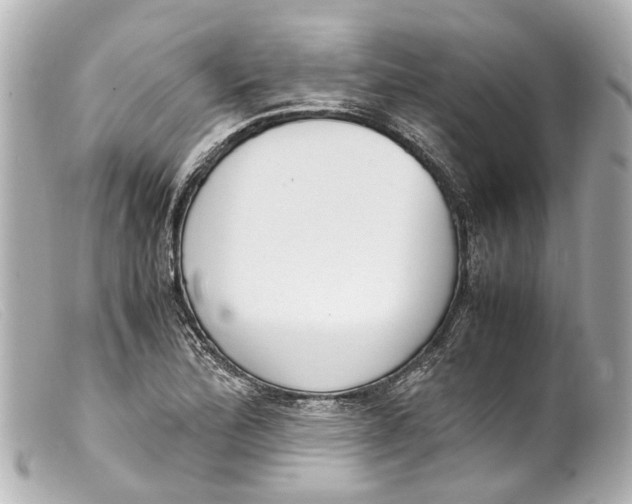 X0000099401172200805291204