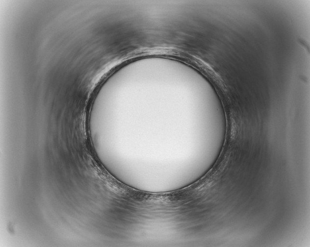 X0000099401174200805291204