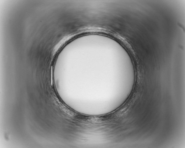 X0000099401175200805291204