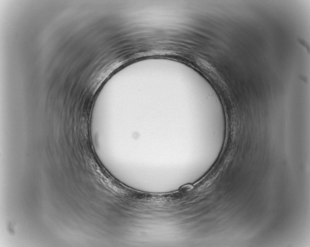 X0000099401177200805291204