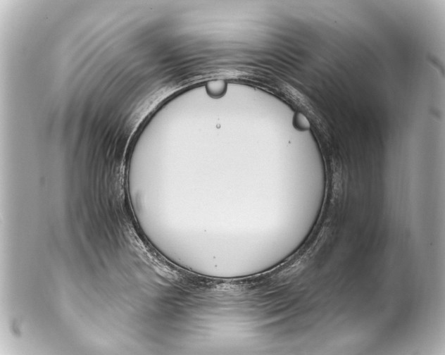 X0000099401178200805291204