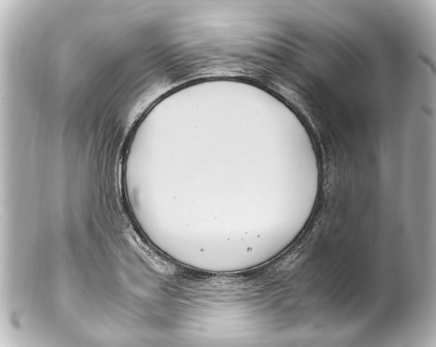 X0000099401179200805291204