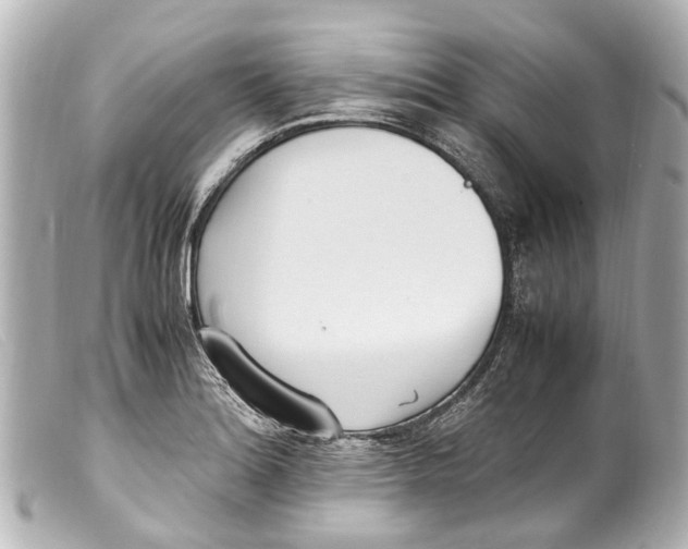 X0000099401180200805291204