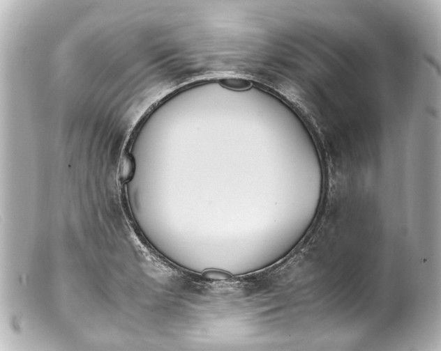 X0000099401181200805291204