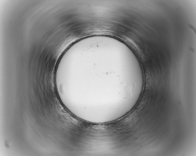 X0000099401182200805291204