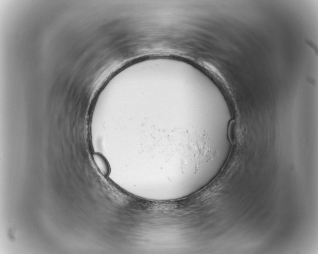 X0000099401183200805291203