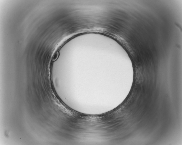 X0000099401184200805291203