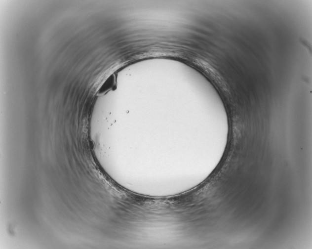 X0000099401185200805291203