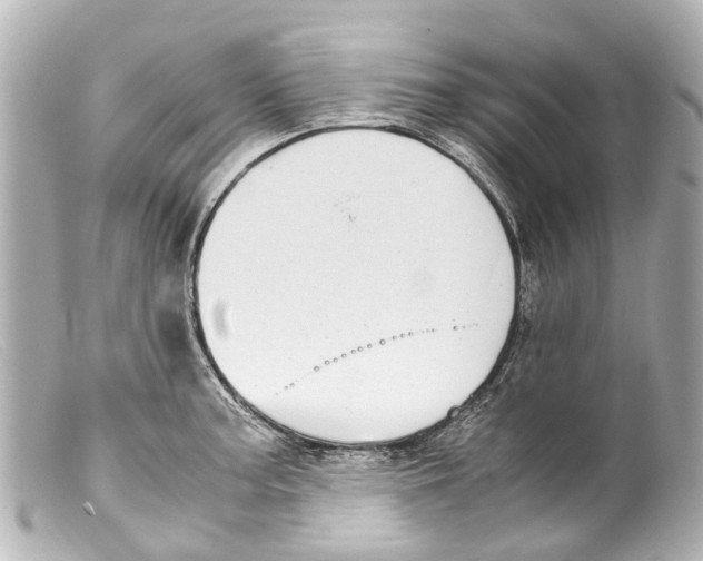 X0000099401187200805291203