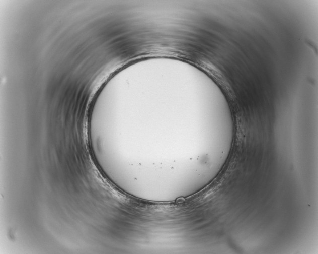 X0000099401188200805291203