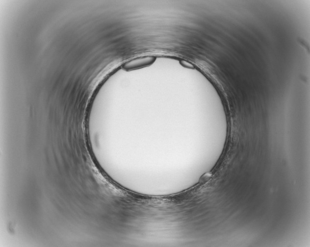 X0000099401189200805291203