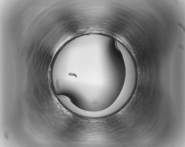 X0000099401190200805291203