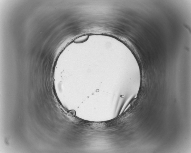 X0000099401191200805291203