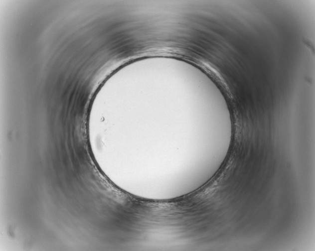 X0000099401192200805291203