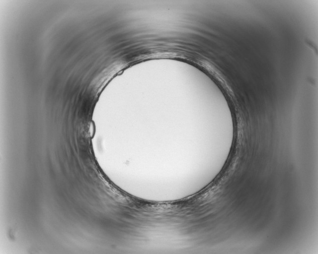 X0000099401193200805291203