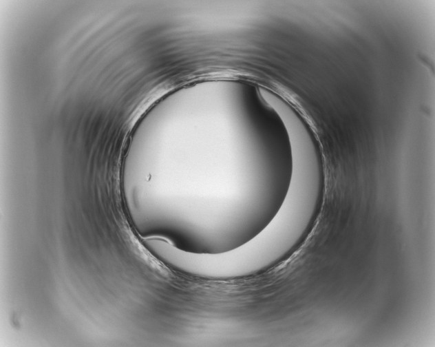 X0000099401194200805291203