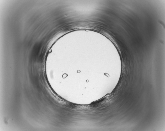 X0000099401195200805291203