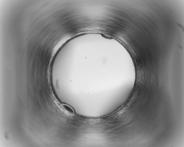 X0000099401196200805291203