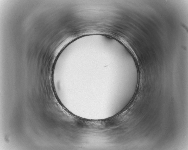 X0000099401197200805291203