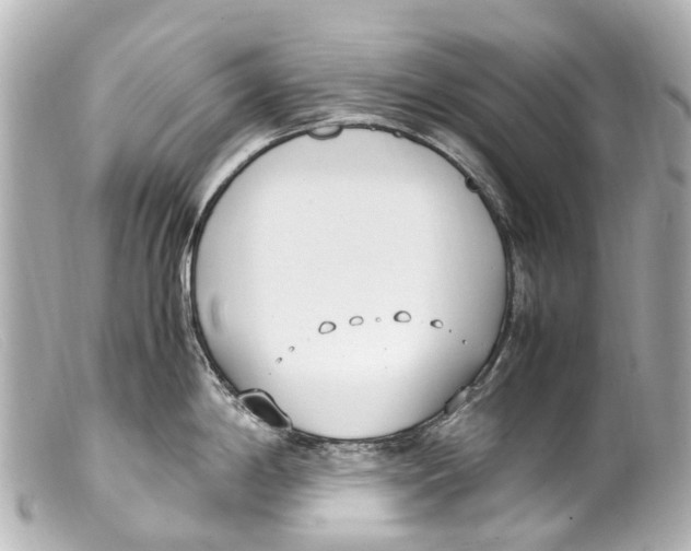 X0000099401198200805291203