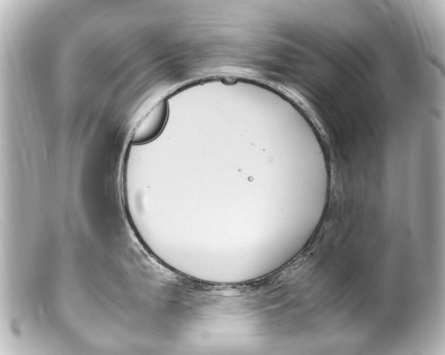 X0000099401199200805291203