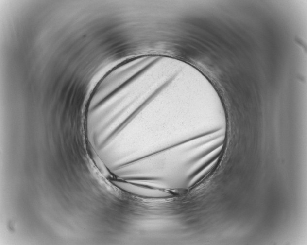 X0000099401200200805291203