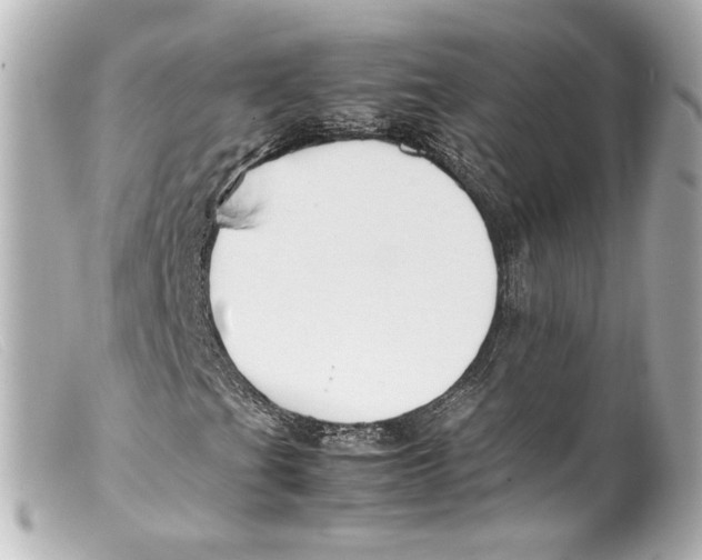 X0000099401201200805291203