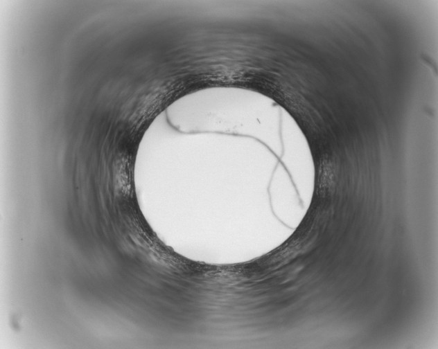 X0000099401202200805291203