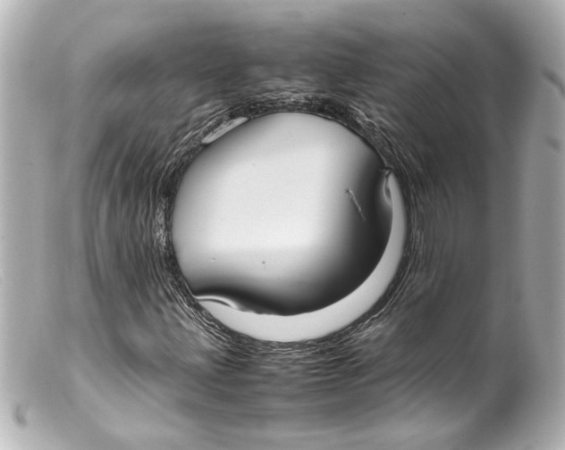 X0000099401203200805291203