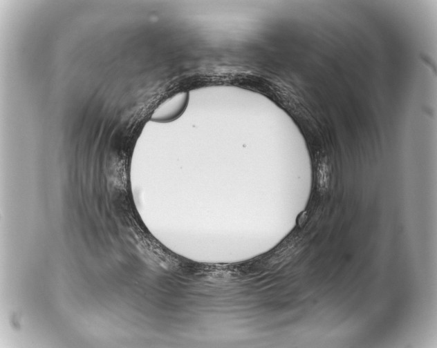 X0000099401204200805291203