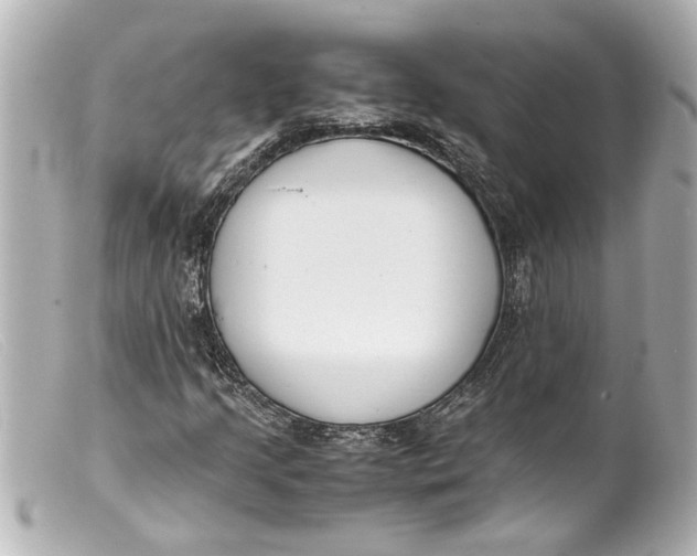 X0000099401205200805291203