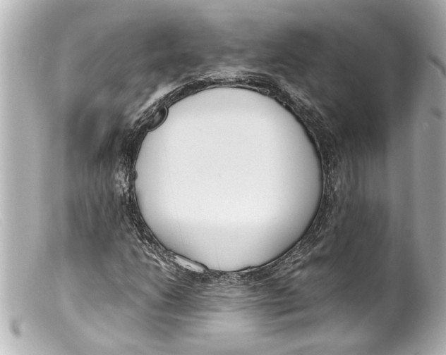 X0000099401206200805291203