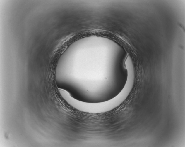 X0000099401207200805291203