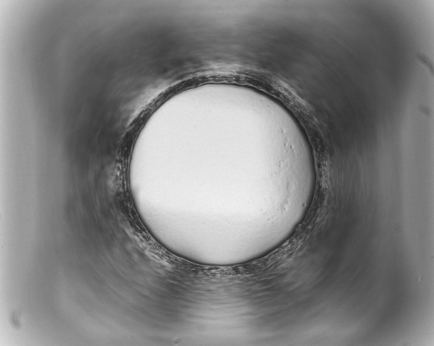 X0000099401208200805291203