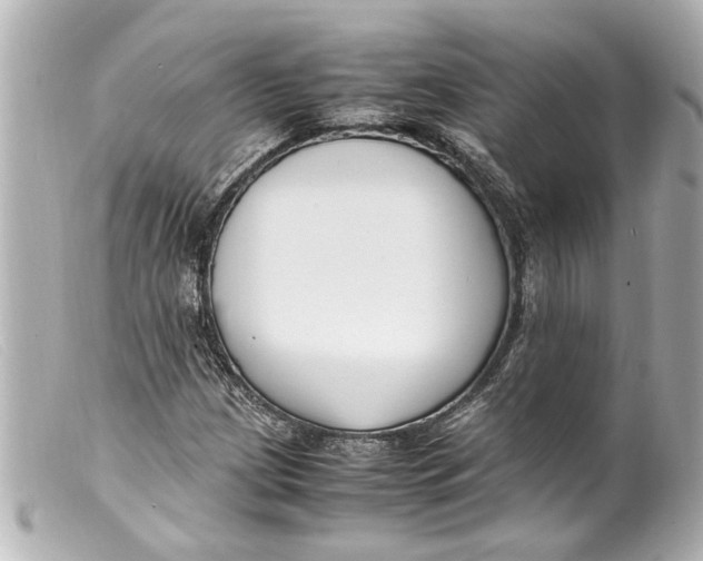 X0000099401209200805291203