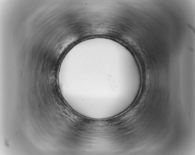 X0000099401210200805291203