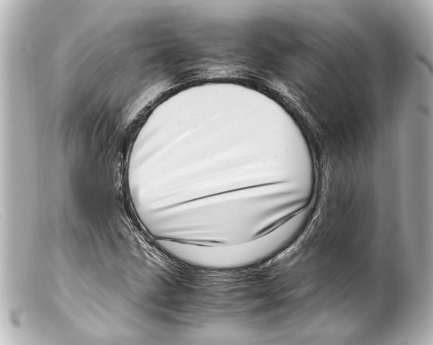 X0000099401211200805291203