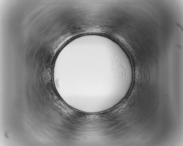 X0000099401212200805291203