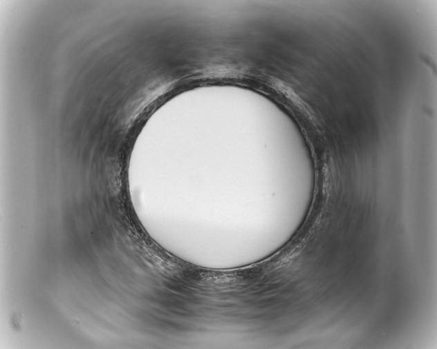 X0000099401213200805291203