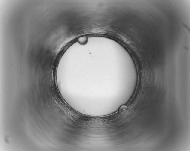 X0000099401214200805291203