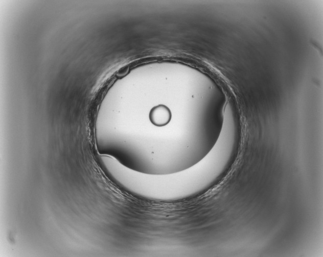 X0000099401215200805291203