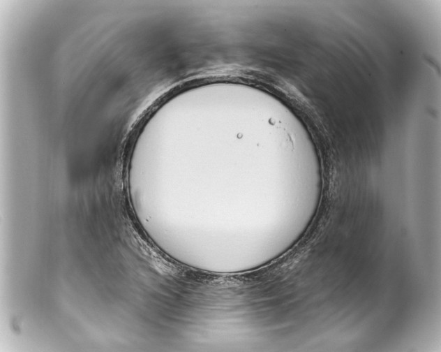 X0000099401216200805291203