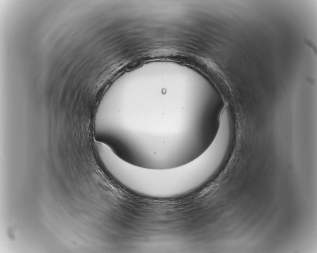 X0000099401217200805291203