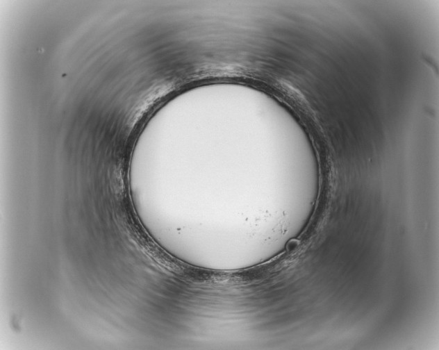 X0000099401218200805291203