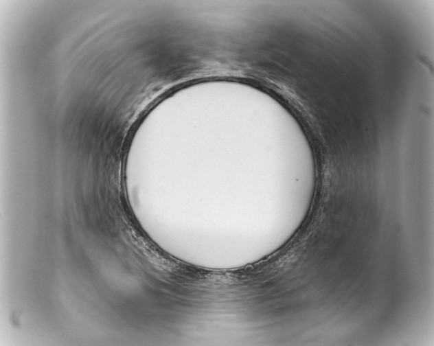 X0000099401220200805291203